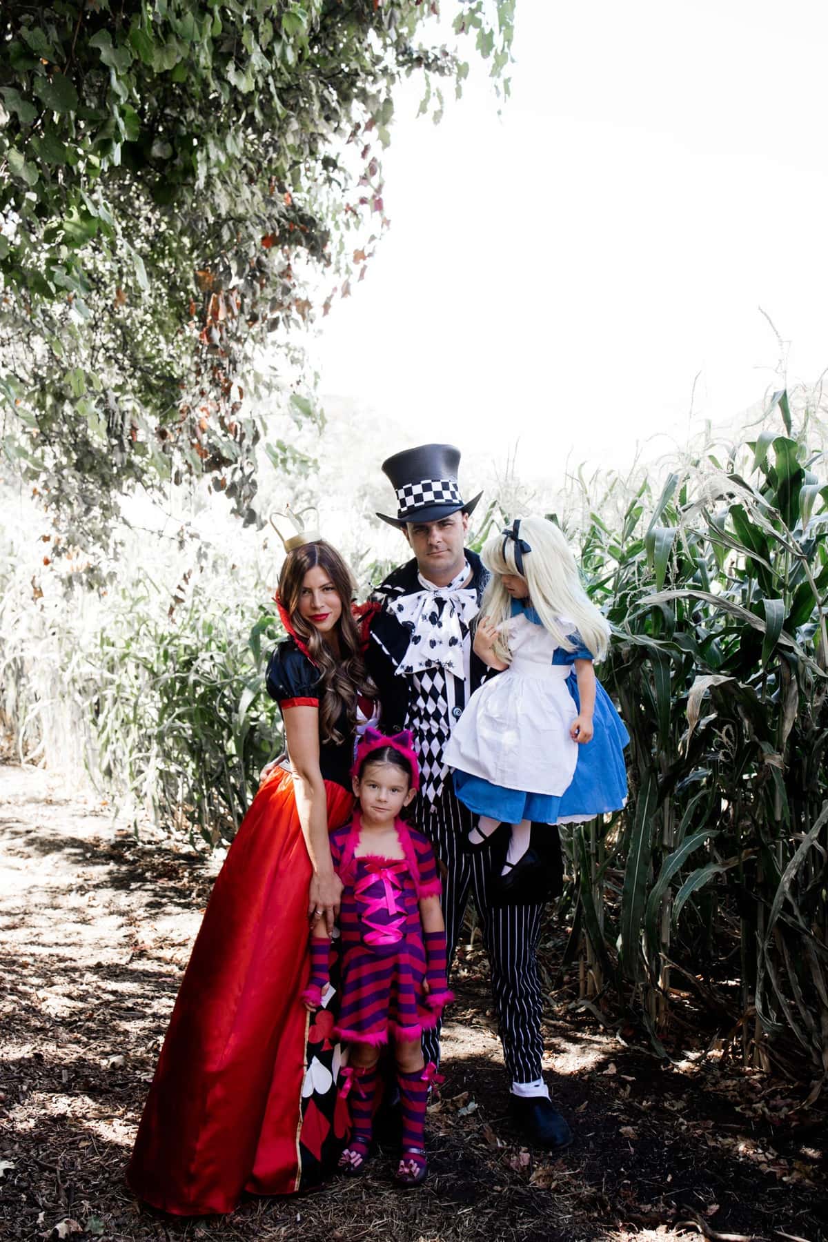 halloween alice in wonderland family costume