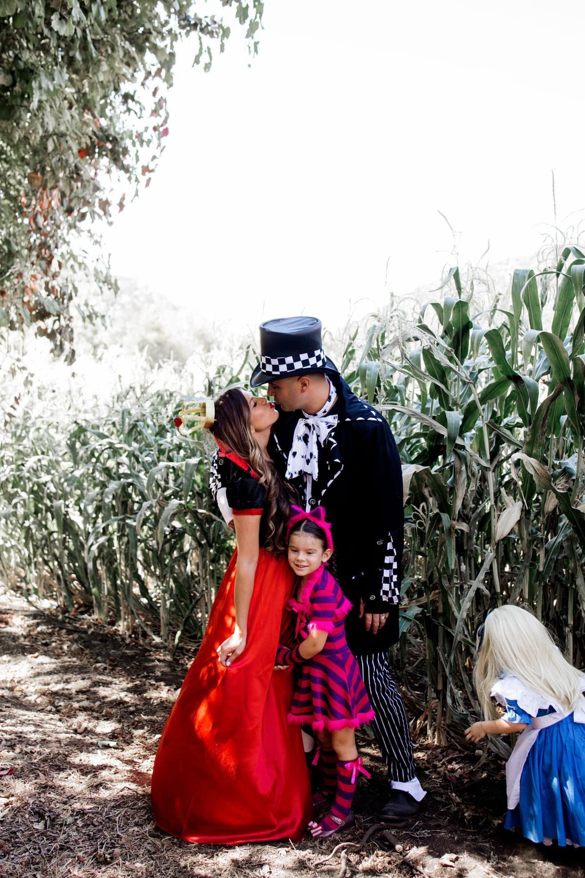 halloween alice in wonderland family costume