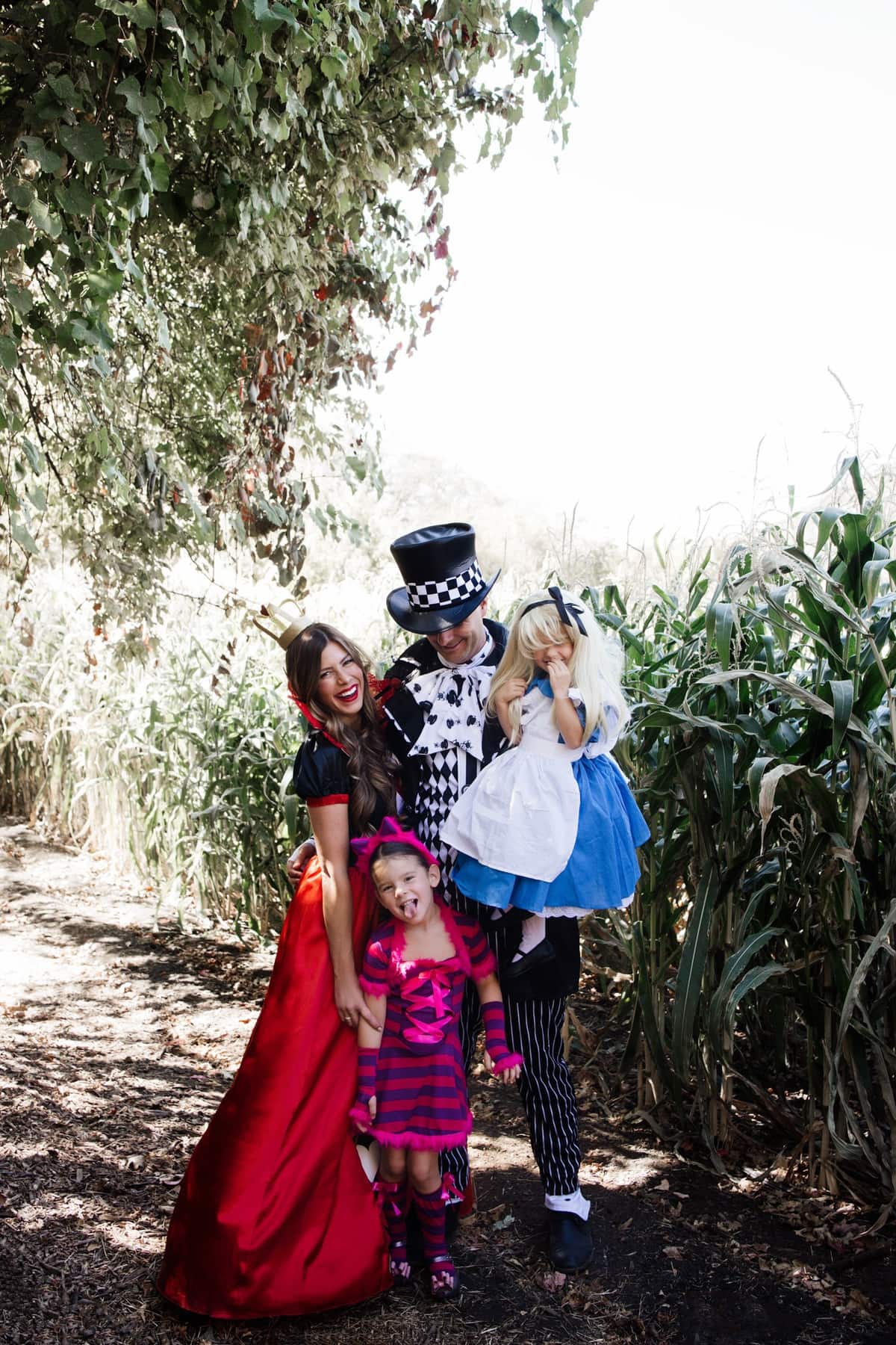 halloween alice in wonderland family costume