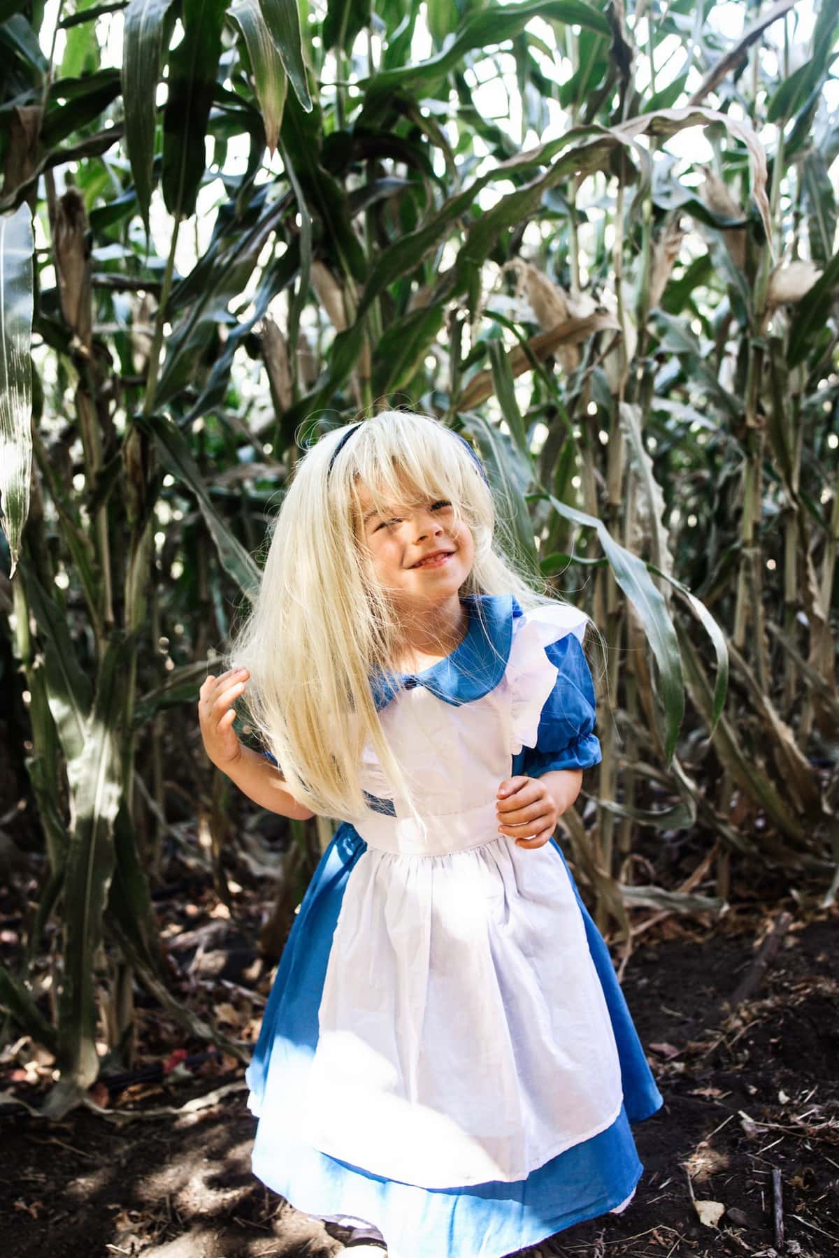 halloween alice in wonderland costume