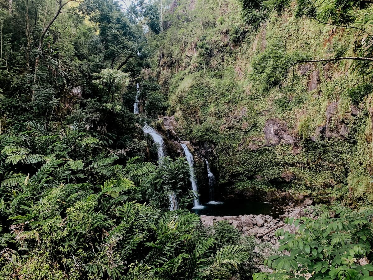 waterfall maui
