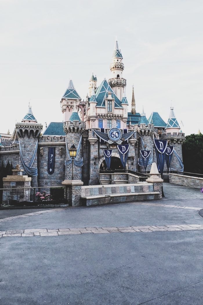 Disneyland Castle unobstructed view