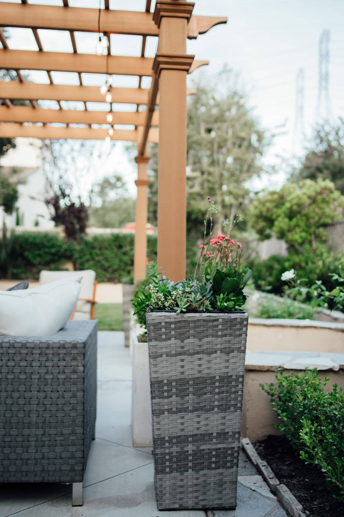 tall wicker planter for backyard