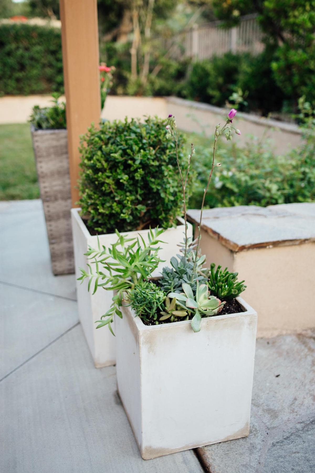 concrete planters