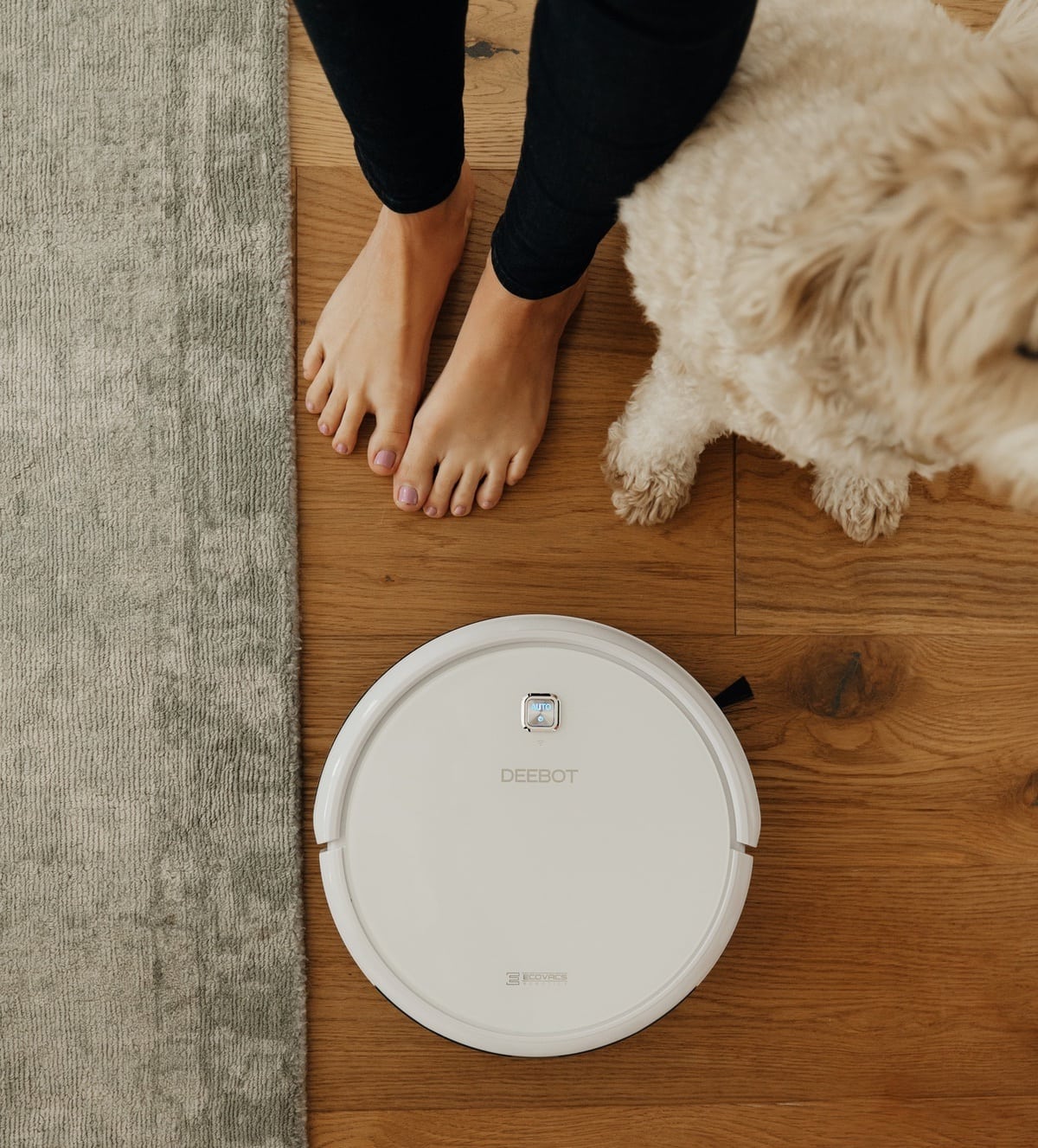 ecovacs deebot robotic vacuum