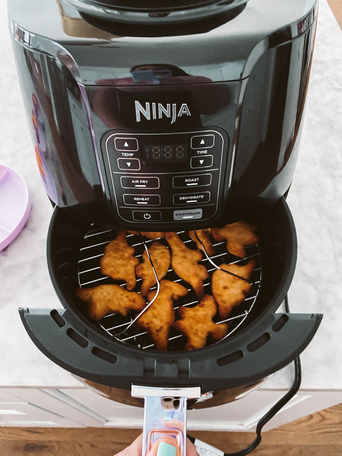 healthy air fryer recipes