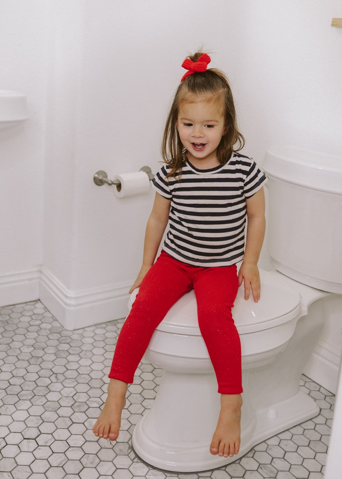 best potty training seat