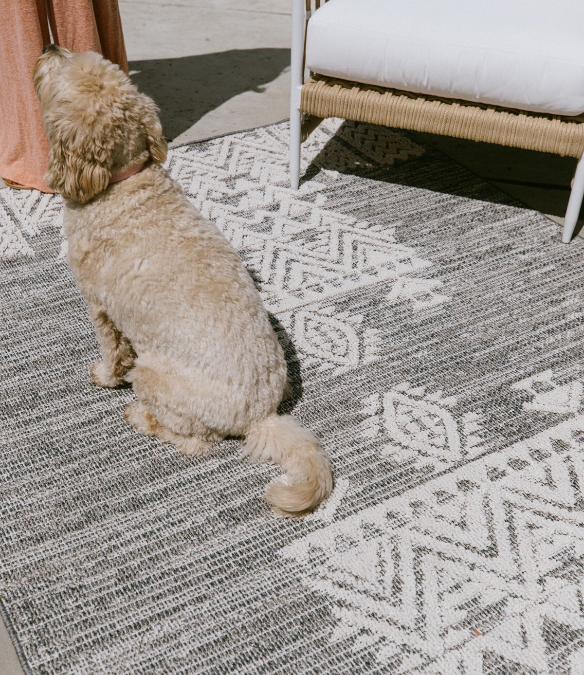 boutique rugs