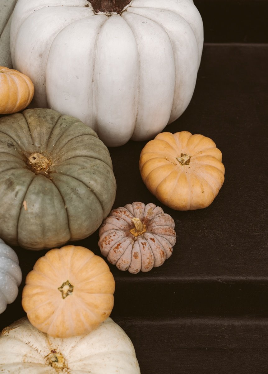 colored pumpkins