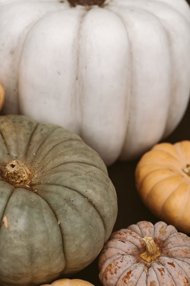 colored pumpkins