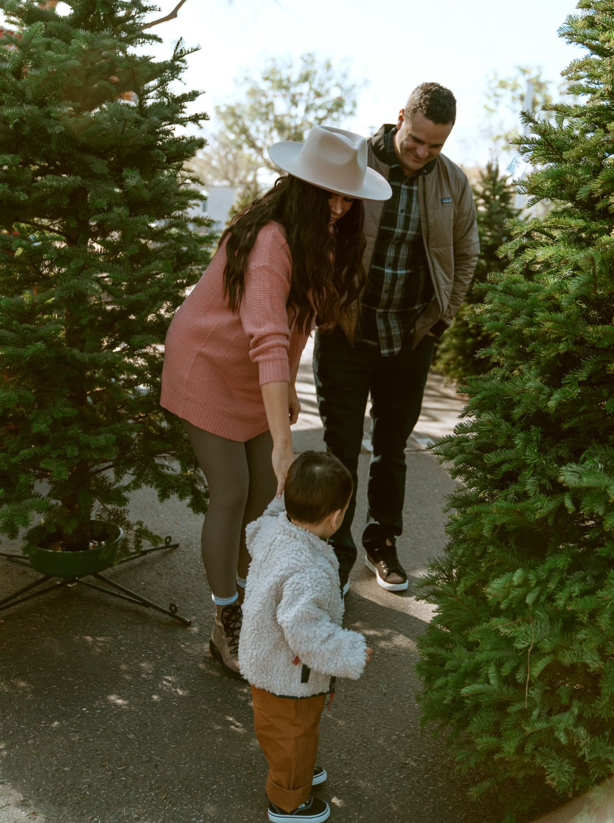 Christmas tree farm photos