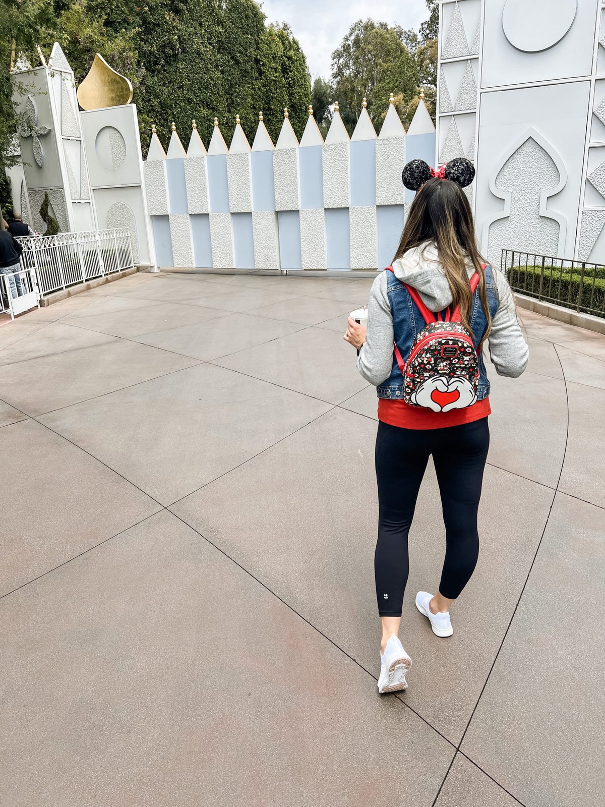 disneyland backpack 