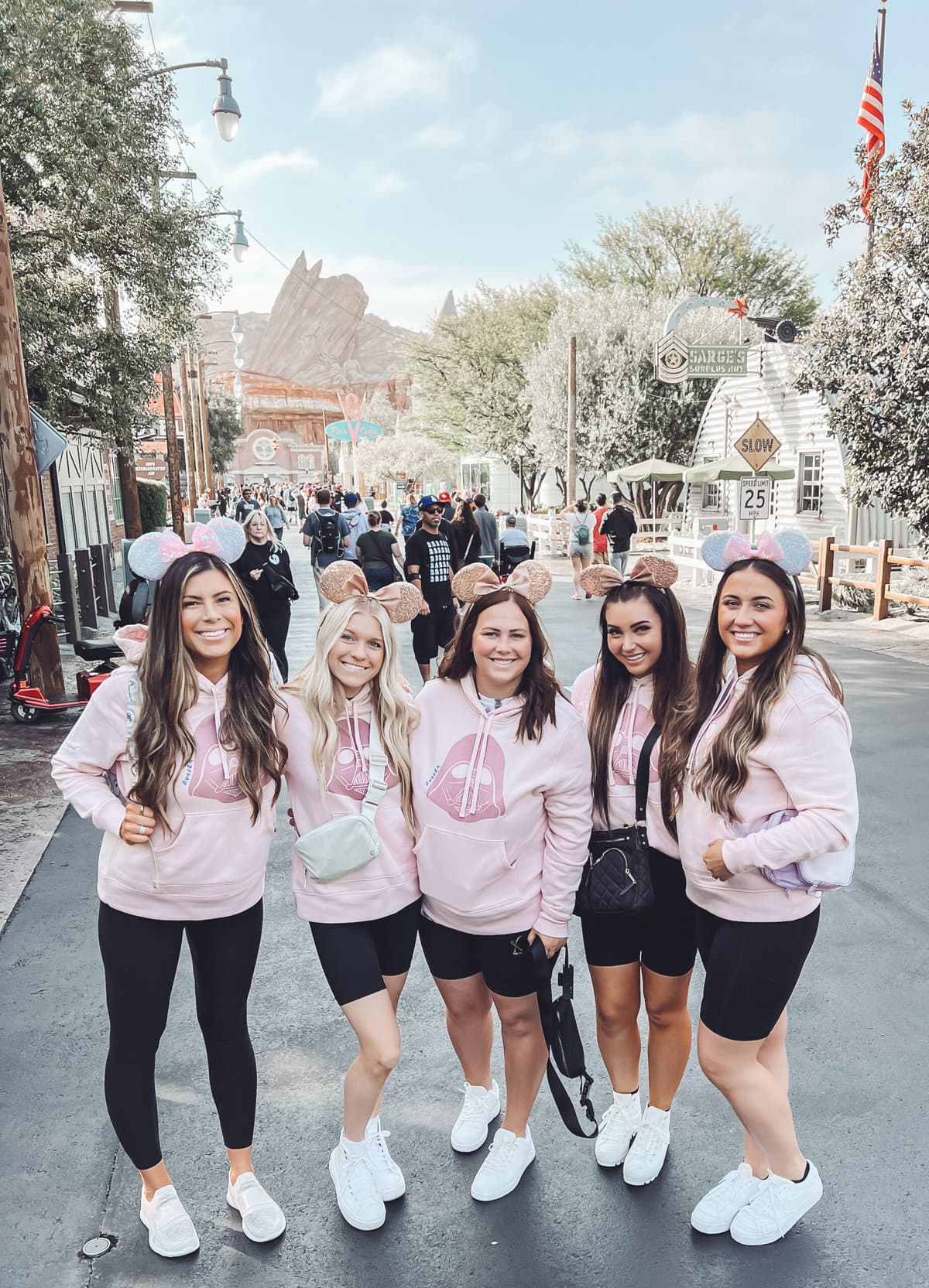 pink disney sweatshirt