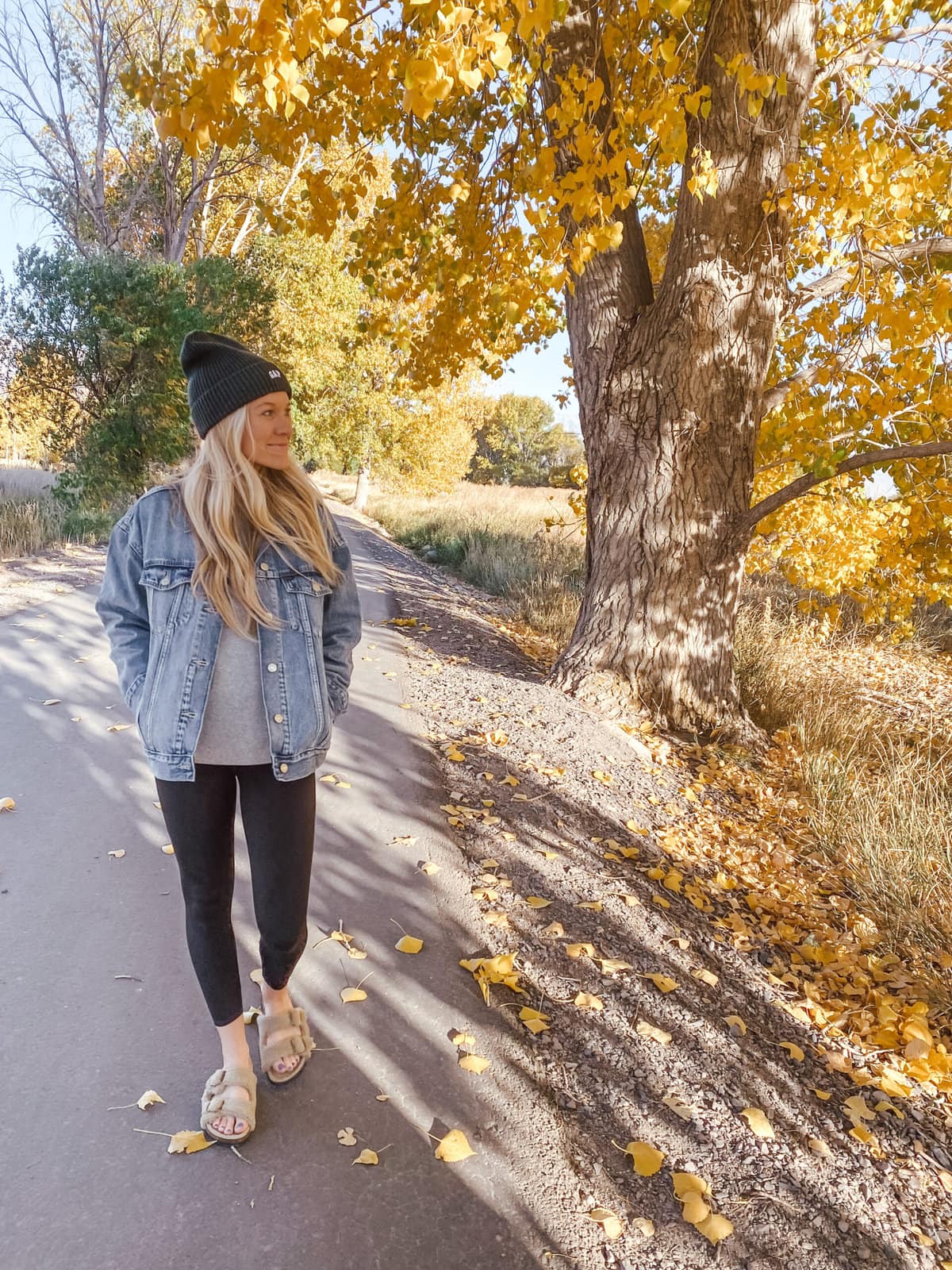 TOP TRENDING:  sweater dress roundup - Mint Arrow