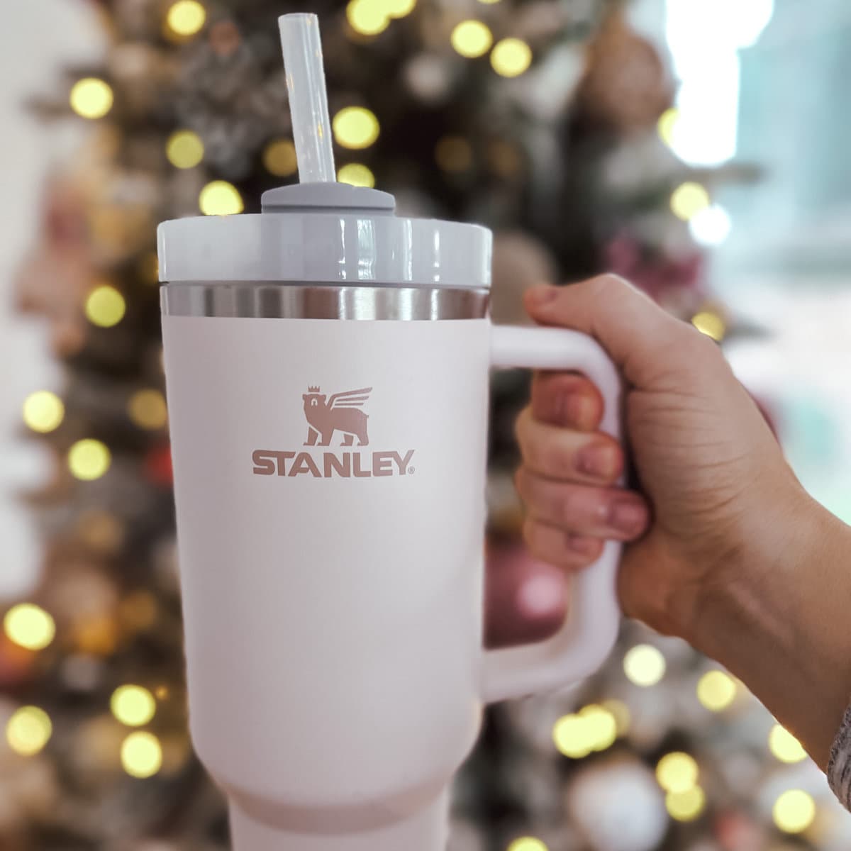 Stanley Discount Code: 15% off the Best Cup of All Time! - A Slice of Style