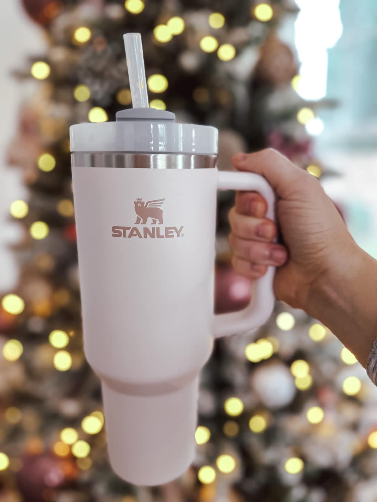 How to get FREE shipping on the new Stanley cup! - Mint Arrow