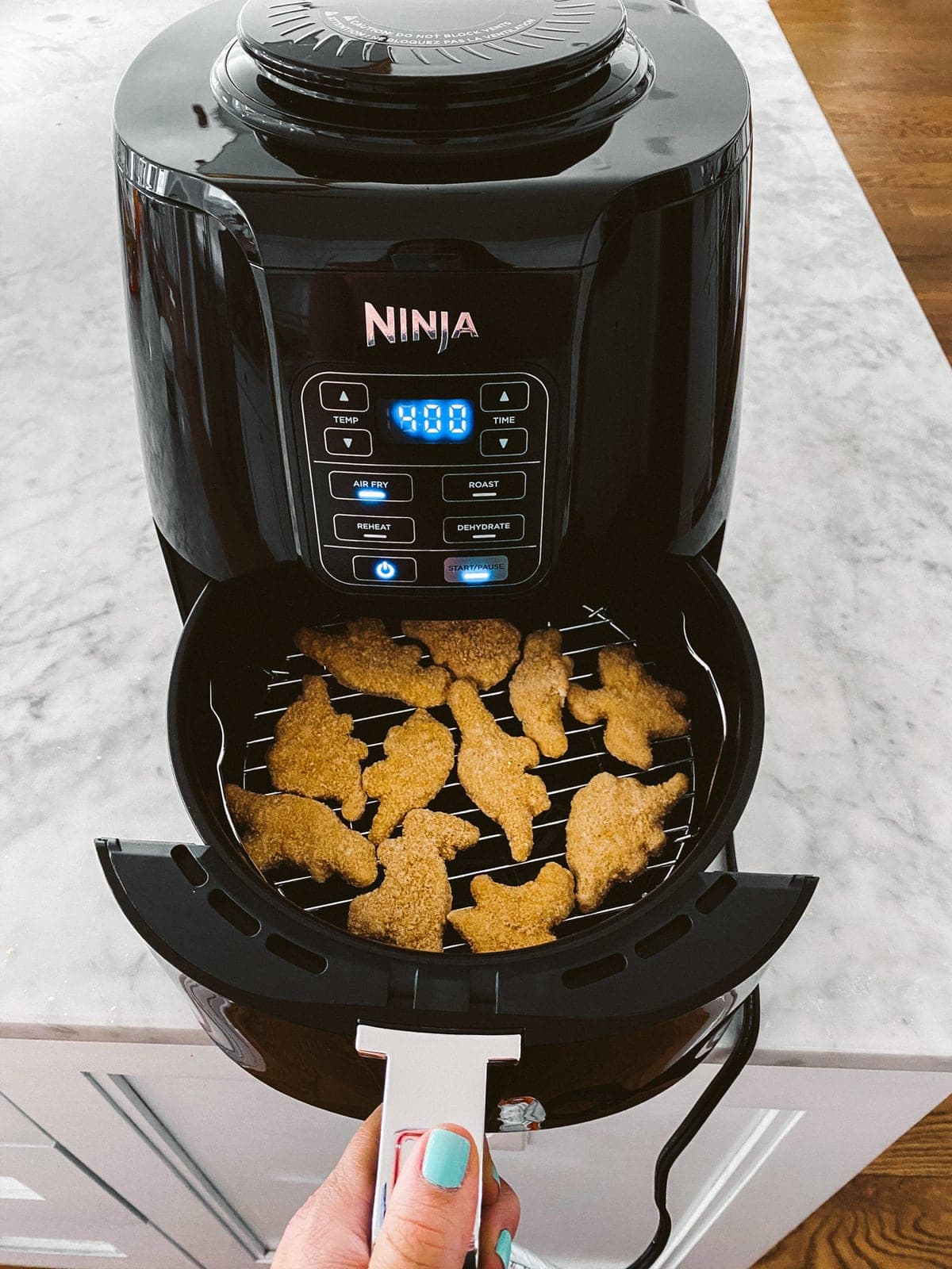 ninja air fryer black friday deal