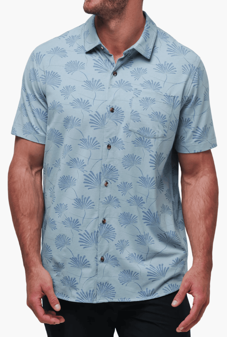 palm top