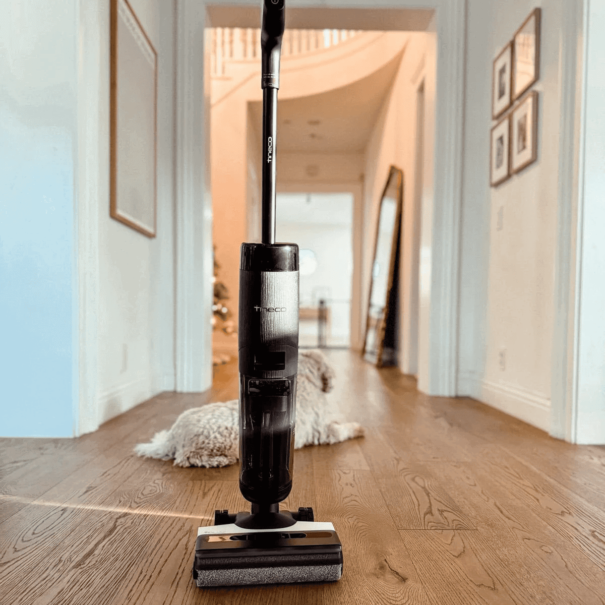 Worth the hype: Tineco vacuum review + where to get the lowest price