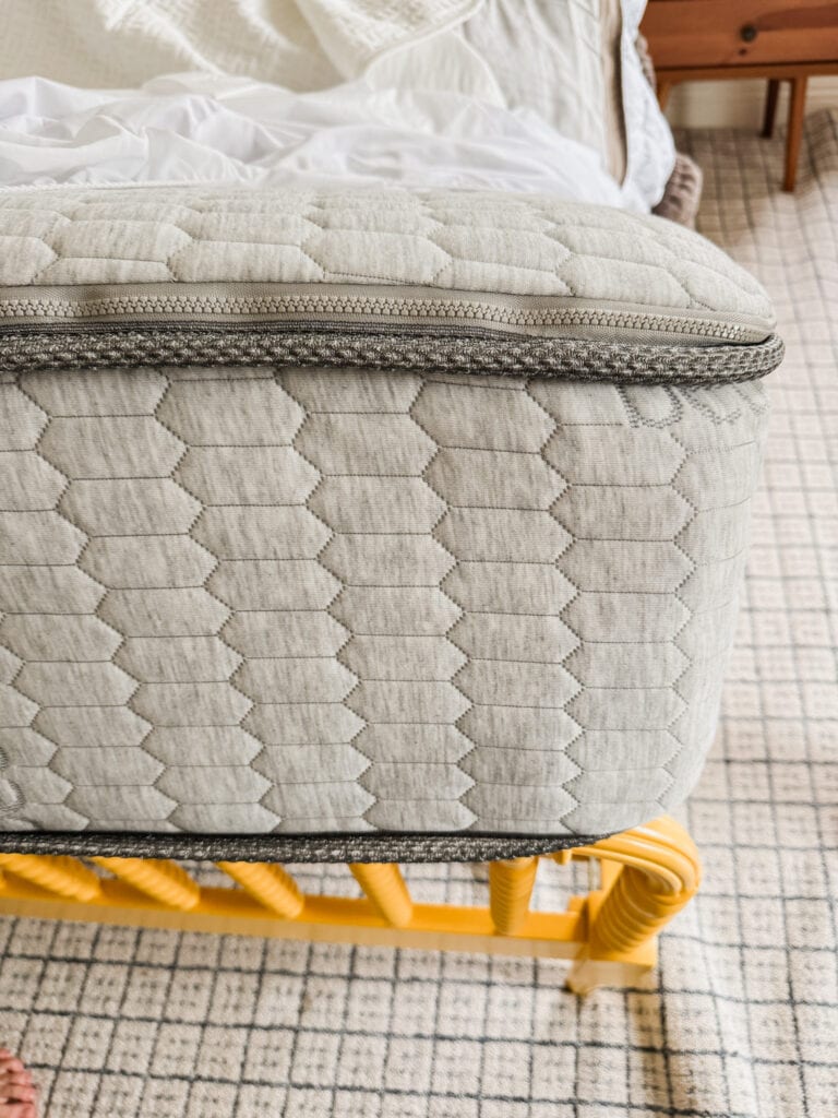 ZipClean Mattress