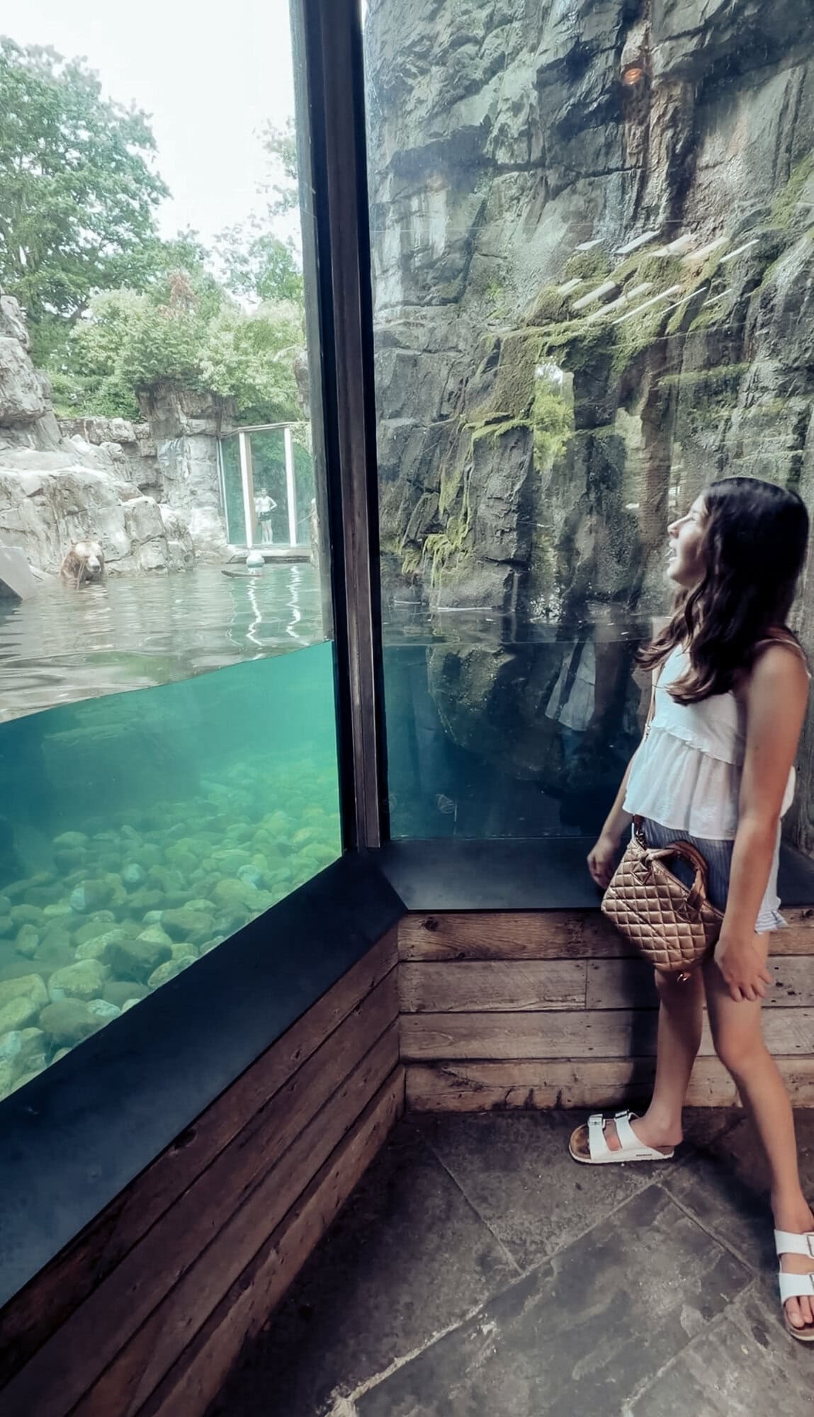 Tween daughter looking through the glass at sea lions and animals at the Central Park Zoo in NYC