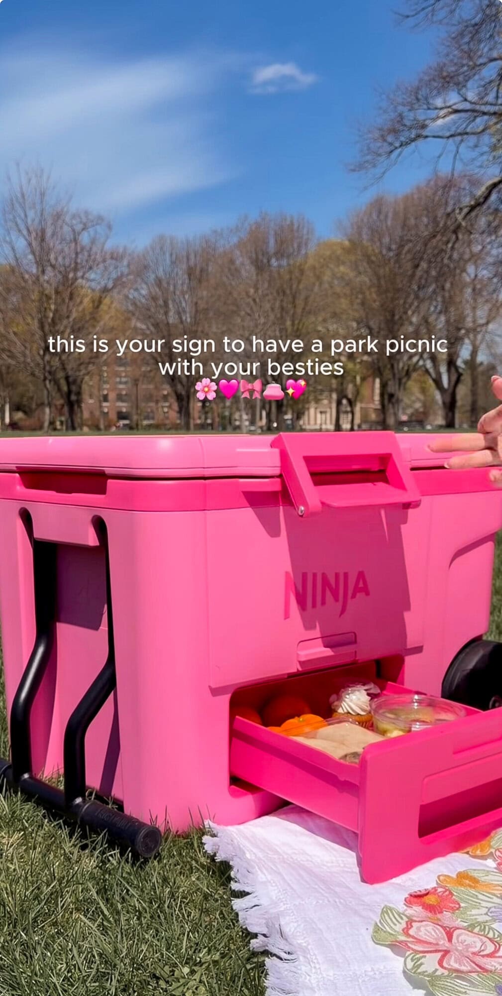 Pink Ninja FrostVault cooler on the grass